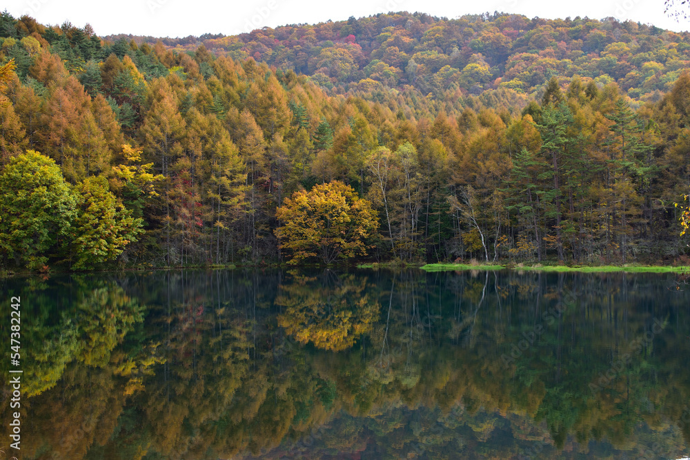 mirror pond mirror pond