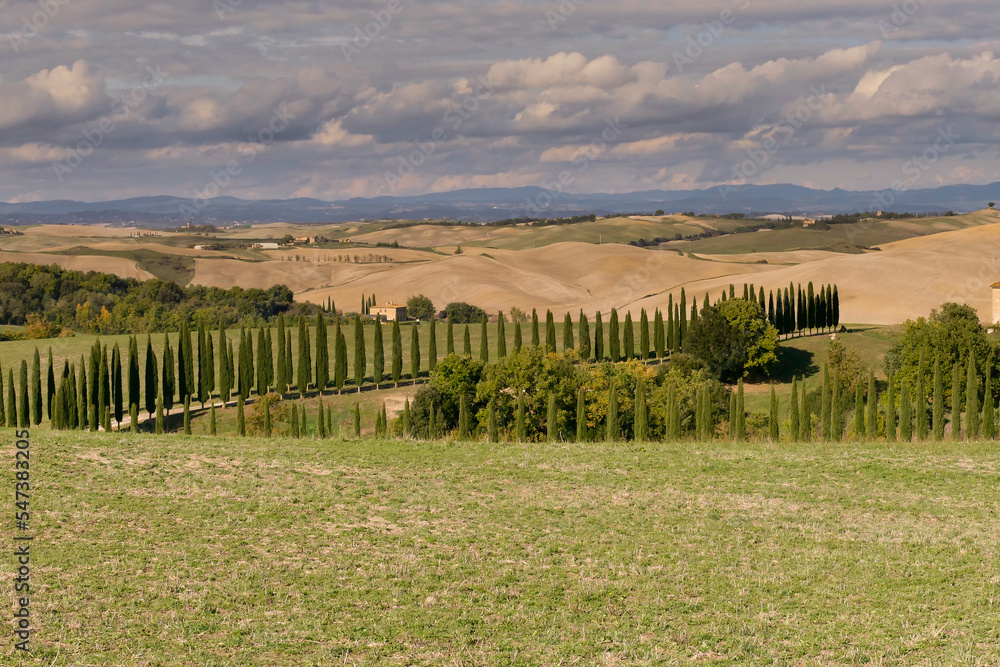 Fototapeta premium Panorama della Val d'Orcia, provincia di Siena. Toscana, Italy