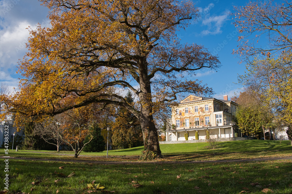 Herbst in Konstanz an der Seestrasse