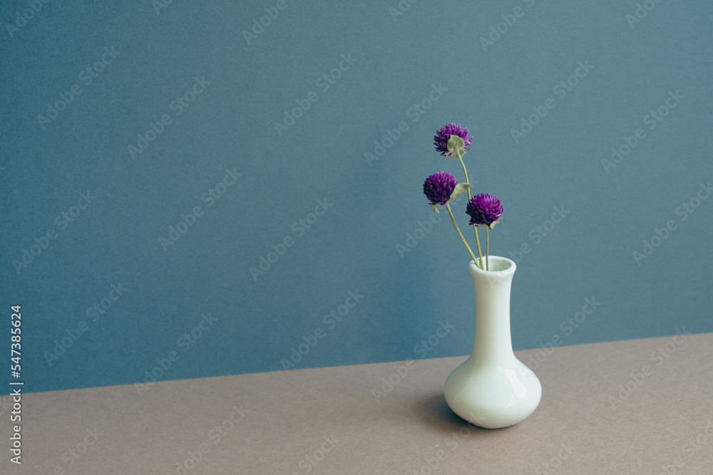 Vase of dry flower on table. navy blue wall background. home interior