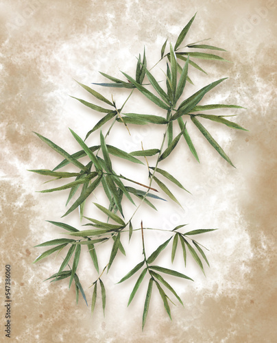 Watercolor illustration painting of bamboo leaves , on  background