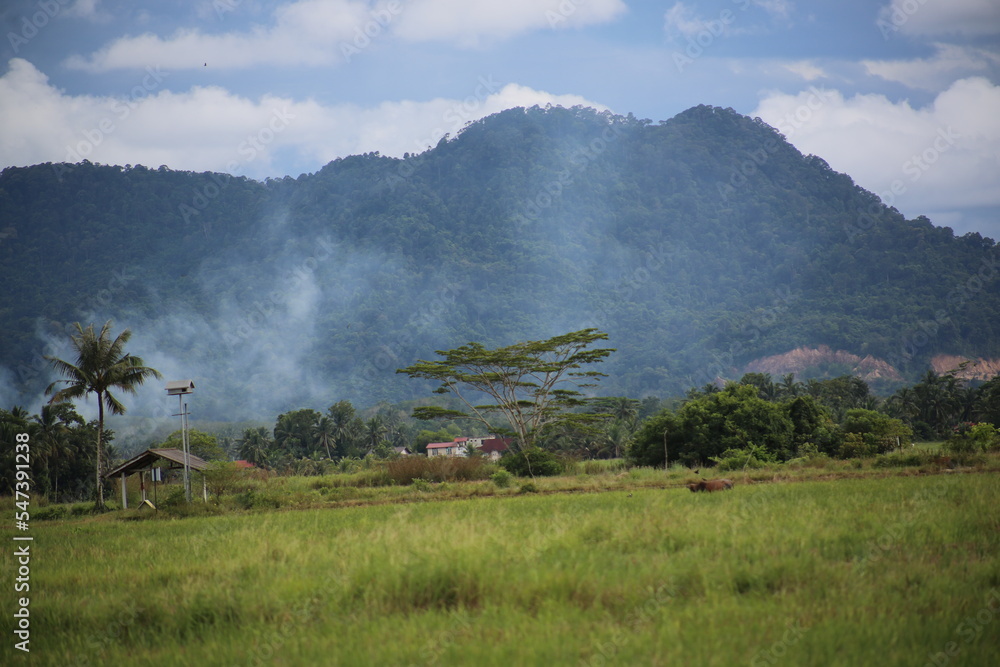 Fototapeta premium fog over the mountains