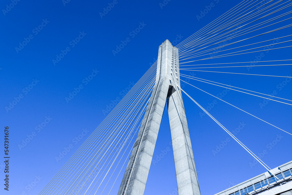 Fototapeta premium cable bridge