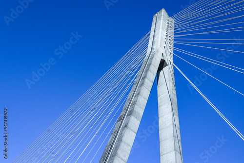 cable bridge © yohei