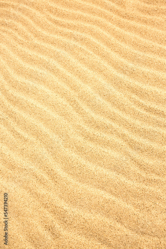 texture of the sand 