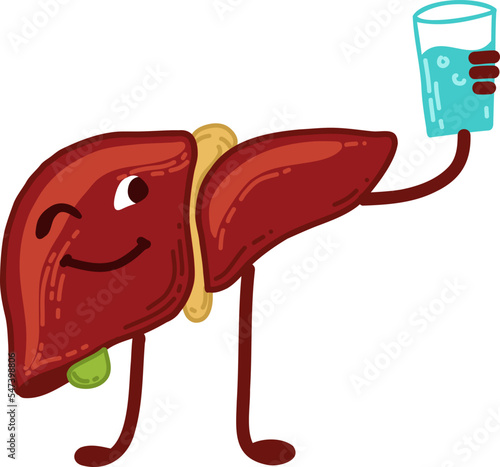 Cartoon liver drinks water. Healthy lifestyle. Take care of your liver