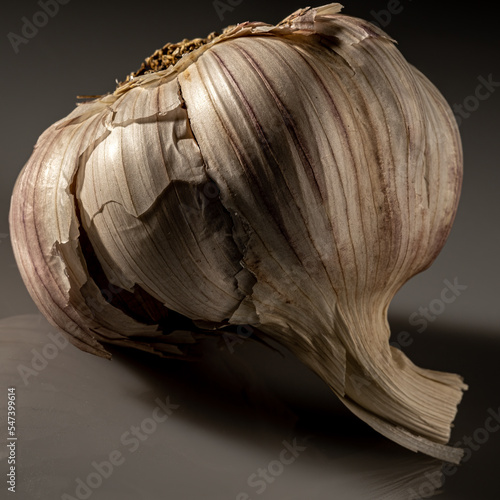 Garlic