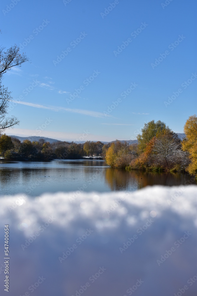 Obraz premium See-Winter-Bäume-Natur-Landschaft