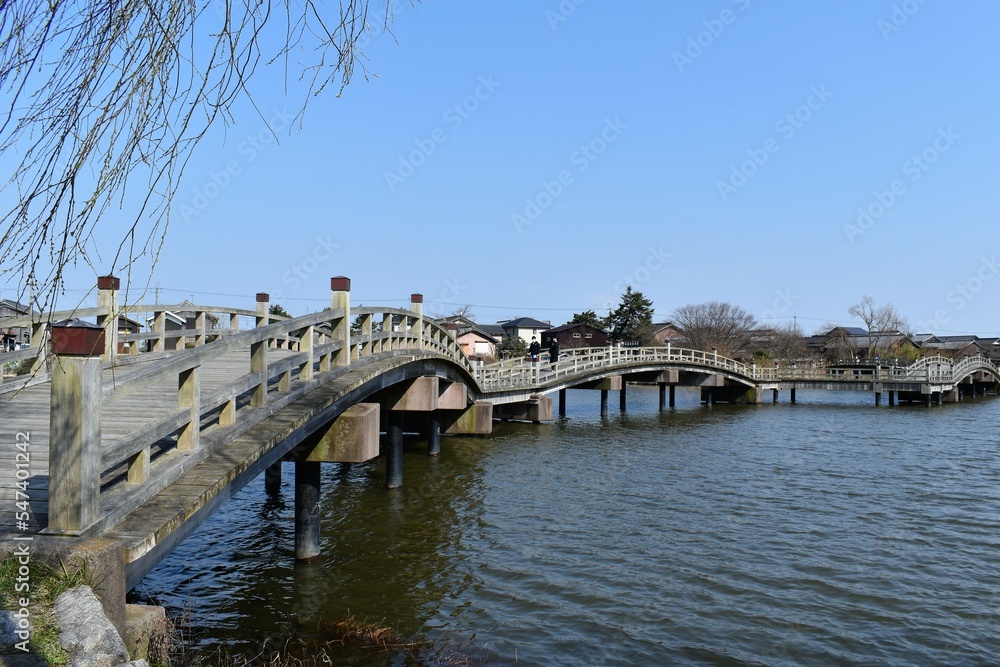 びわ湖と水路でつながる乙女が池に架かる太鼓橋