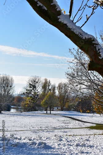 Natur-Schnee-Bäume-Park