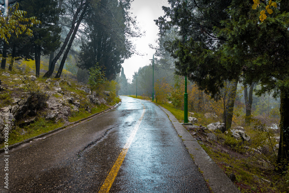 A very beautiful road through the forest during the rain. 