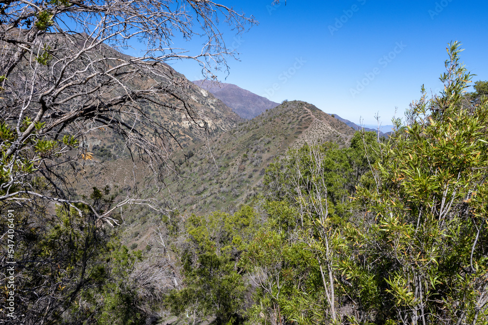 Mirador Tres Valles - Santuario de la Naturaleza Yerba Loca - Traveling Chile Mirador Tres Valles - Santuario de la Naturaleza Yerba Loca - Traveling Chile