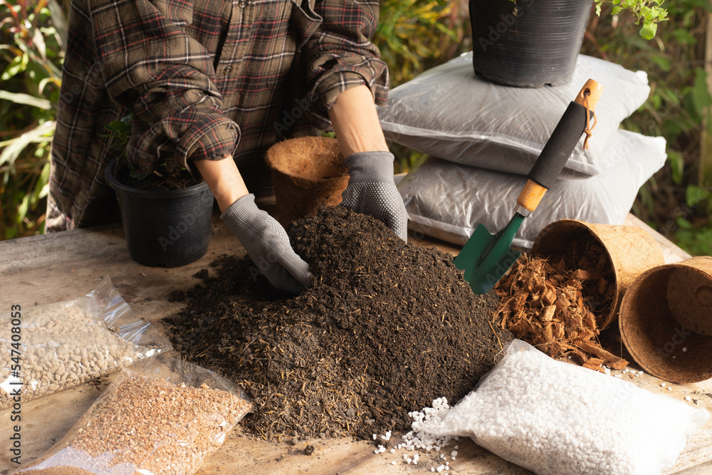 potting soil for herbs and vegetables