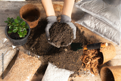 Wallpaper Mural Gardening concept. A young woman mixes potting soil, prepares the soil for planting vegetables and herbs in the house, mixes potting soil, perlite, vermiculite, peat, worm, coconut flakes, rice husk.  Torontodigital.ca