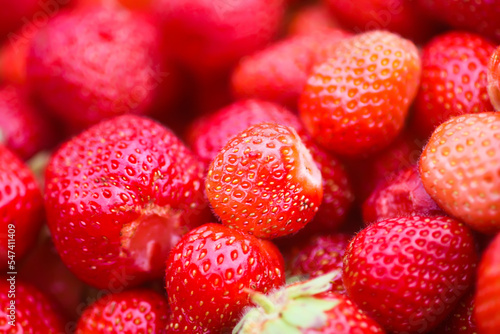 Red ripe strawberries. Fresh organic berries for healthy eating.