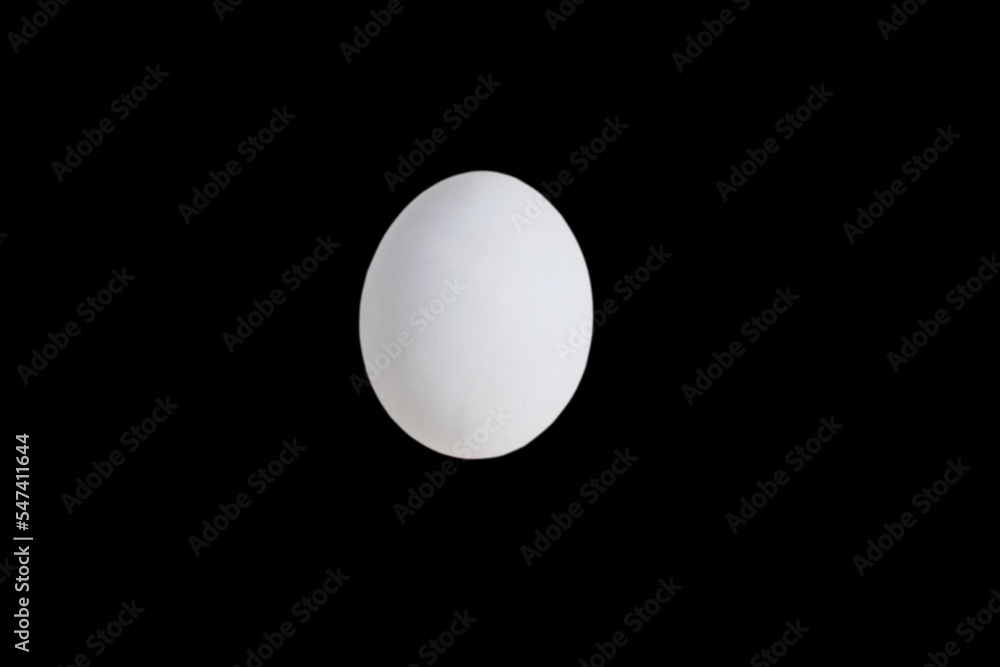 Egg isolate on black background with place for text Egg isolate on black background with place for text