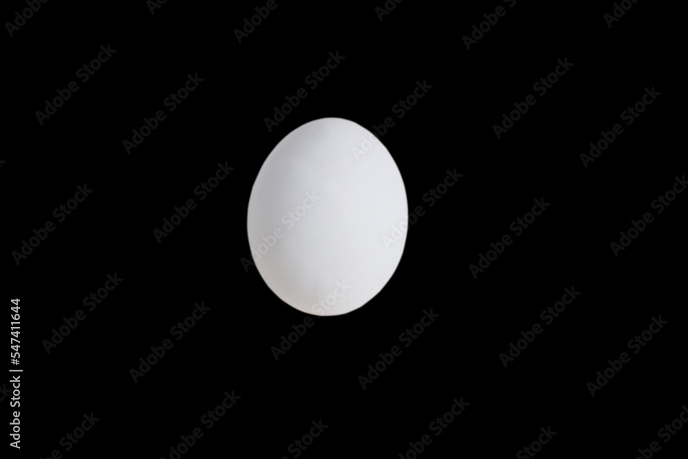 Egg isolate on black background with place for text