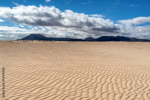 sand dunes in the natural park of corralejo (Parque Natural de Corralejo)