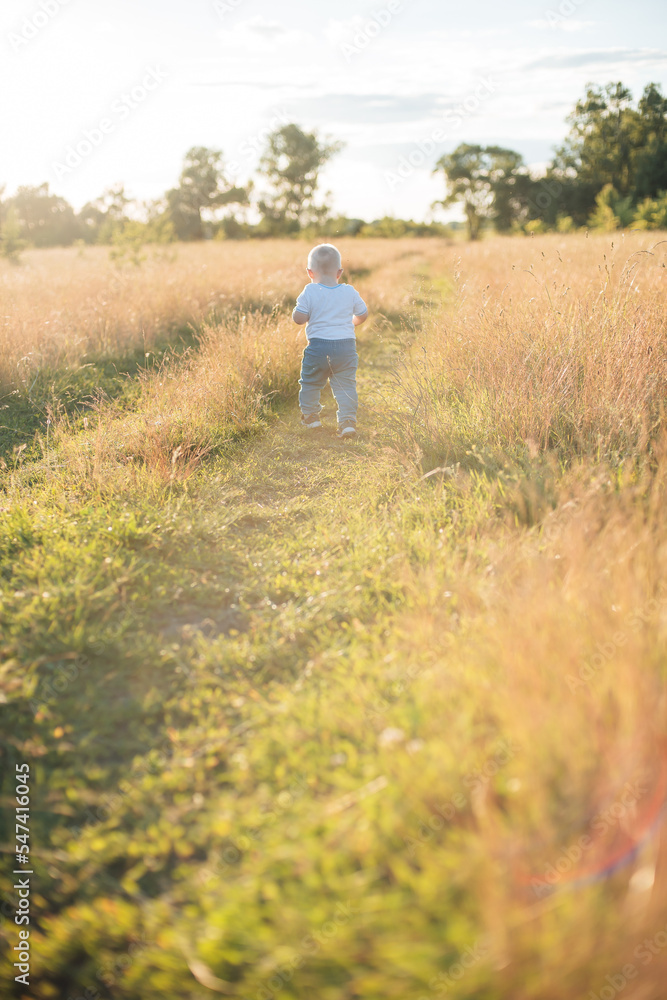 person walking in the field person walking in the field
