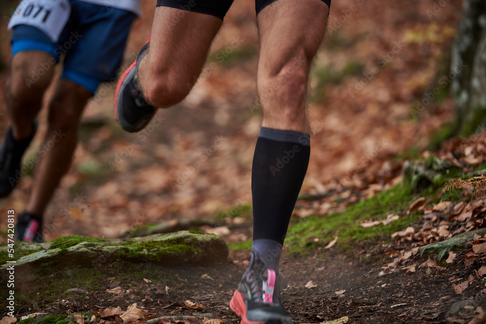 Fototapeta premium Trail Run