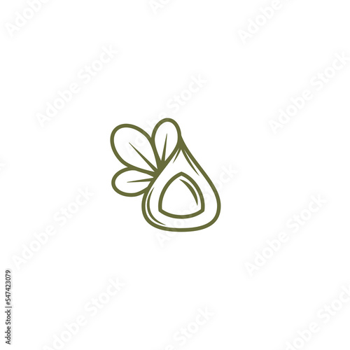 Moringa nut green icon. Horseradish tree beauty and cosmetics oil. Cosmetic ingredient carotene, carotin. Extract butter for hair care. Vector flat illustration isolated on white.