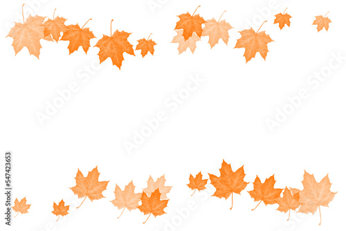 maple leaf illustration for background design, wallpaper, ppt, etc. without background, elegant, aesthetic. brownish orange leaf color.
