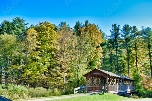 covered bridge in the woods photo