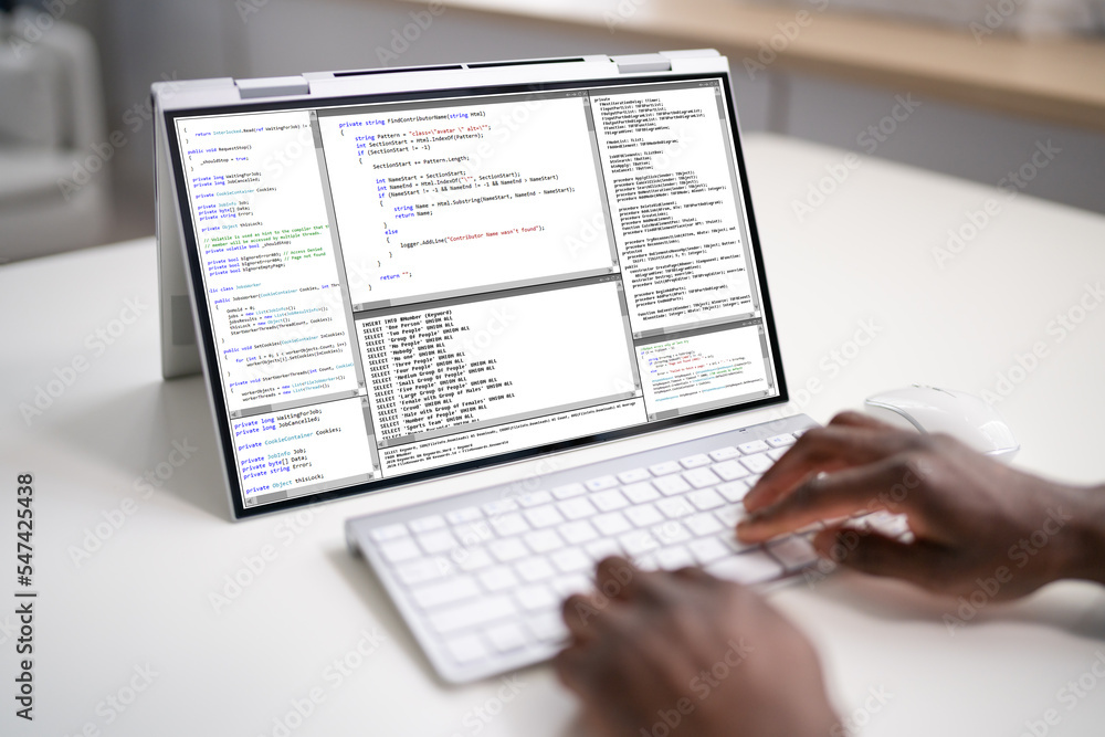 Obraz premium African American Web Developer Programmer