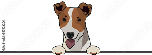 Funny Jack Russell terrier dog with paws over a white wall, in a pocket vector illustration. Funny dog smiling. Cute dog head on a white background. Hand-drawn mascot. Smiling dog muzzle. BFF.