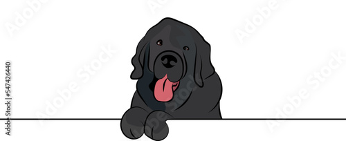 Funny Newfoundland dog with paws over a white wall, in a pocket vector illustration. Funny dog smiling. Cute dog head on a white background. Hand-drawn mascot. Smiling dog muzzle. BFF.