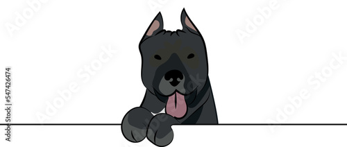 Funny Pitbull dog with paws over a white wall, in a pocket vector illustration. Funny dog smiling. Cute dog head on a white background. Hand-drawn mascot. Smiling Pit bull dog muzzle. BFF.