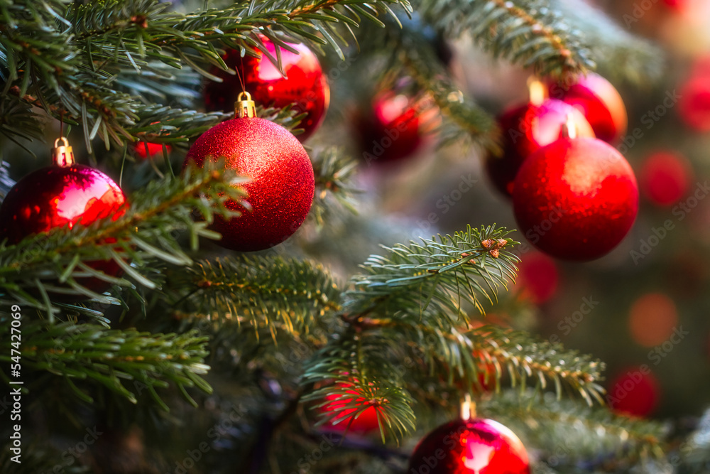 Rote Christbaumkugeln auf einer Fichte. Rote Christbaumkugeln auf einer Fichte.