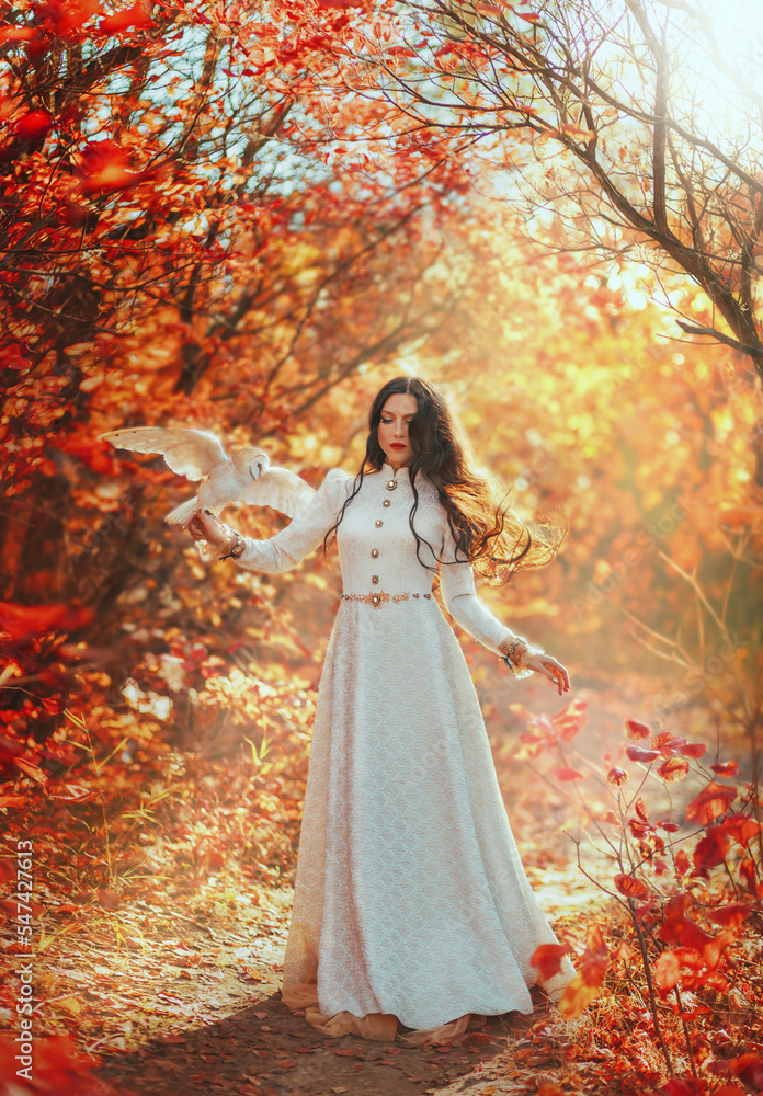 Fantasy woman queen walks in forest holds white bird barn owl, flaps wings on hand. Princess girl. long hair floats in air, fly wind. vintage dress. Autumn nature red trees magical light. Art photo