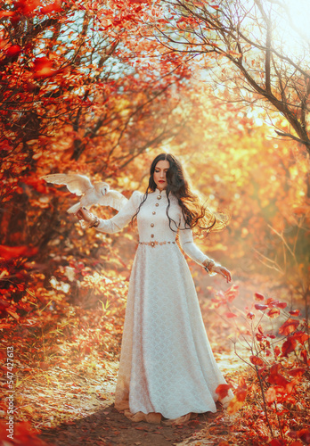 Fantasy woman queen walks in forest holds white bird barn owl  flaps wings on hand. Princess girl. long hair floats in air  fly wind. vintage dress. Autumn nature red trees magical light. Art photo