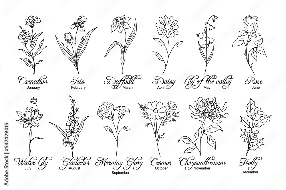 Set of flower line art vector illustrations. Carnation, daffodil, daisy, lilies, gladiolus, chrysanthemum, cosmos, holly hand drawn black ink sketch. Birth month flowers for jewelry, tattoo, logo. Stock Vector