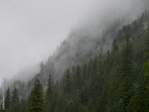 Fog in the mountains in autumn, Chochołowska Valley, Tatry, Poland 