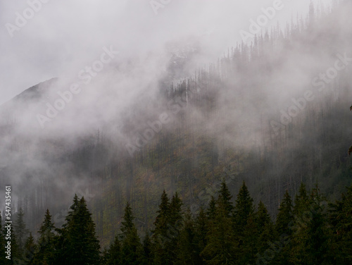 Peak summit in the fog - Kasprowy Wierch