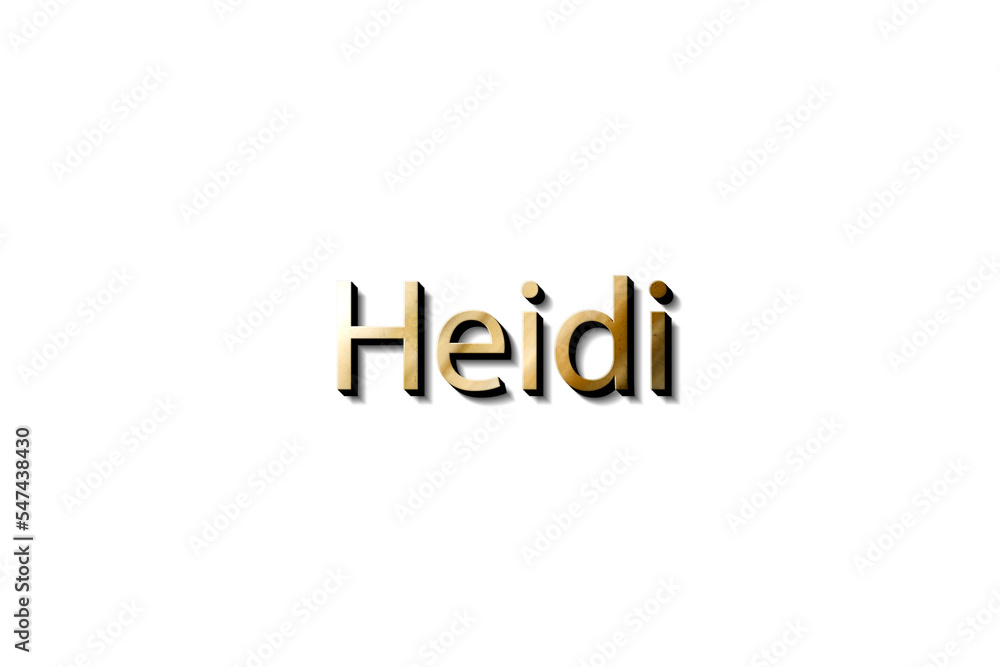 HEIDI 3D MOCKUP HEIDI 3D MOCKUP