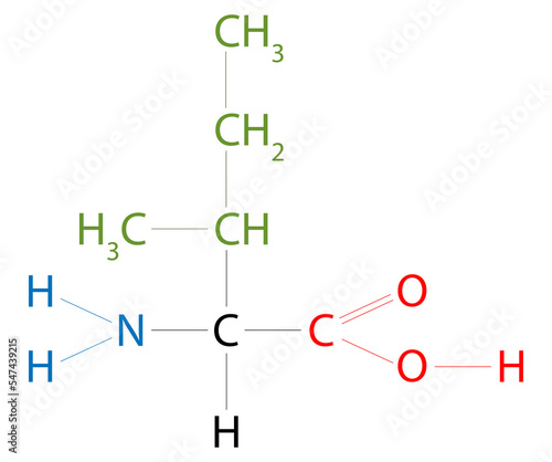 The structure of Isoleucine. Isoleucine is  an amino acid that has a hydrocarbon side chain with a branch.