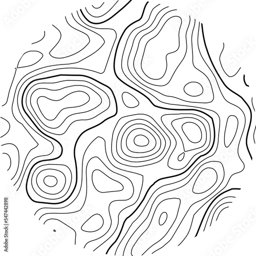 Tree rings. Wood texture with topography lines. Organic ripple wavy pattern. Doodle illustration.