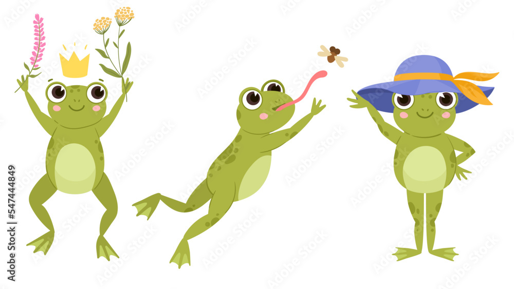 Obraz premium Cute frogs, cartoon funny froggy, green amphibians. Wildlife water froglet animals flat vector illustration on white background