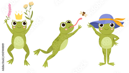 Cute frogs, cartoon funny froggy, green amphibians. Wildlife water froglet animals flat vector illustration on white background