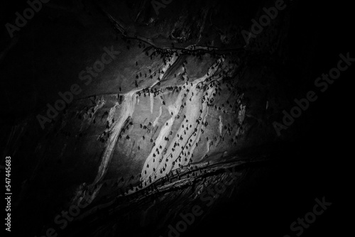 Slika na platnu Grayscale of a colony of bats hanging in a dark cave