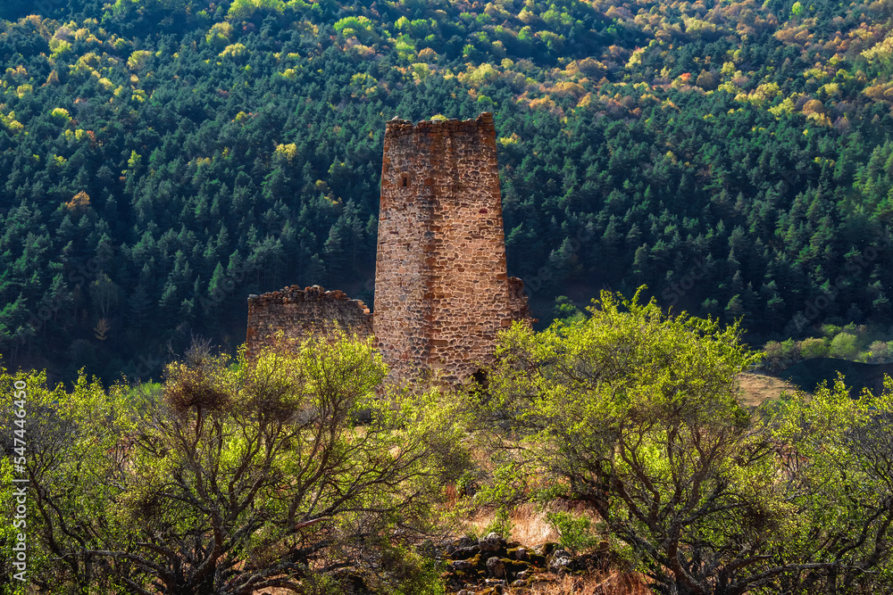 Sunny afternoon in the Caucasus mountains. Medieval tower on green mountain forest background. Sunny afternoon in the Caucasus mountains. Medieval tower on green mountain forest background.