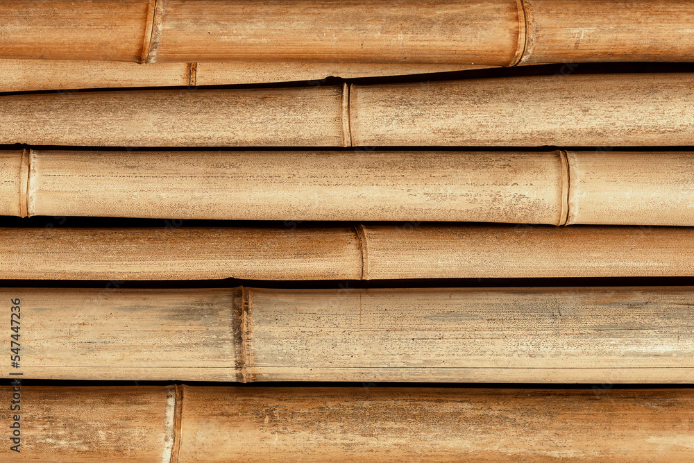 Bamboo grove with the sun among the trunks. Bamboo grove with the sun among the trunks.