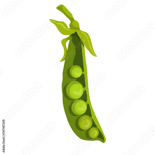 Ripe green pea pod. Vector graphics.