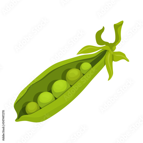 Ripe green pea pod. Vector graphics.