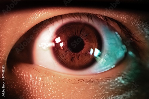 Canvas Print Macro of a person's brown eye under the artificial light