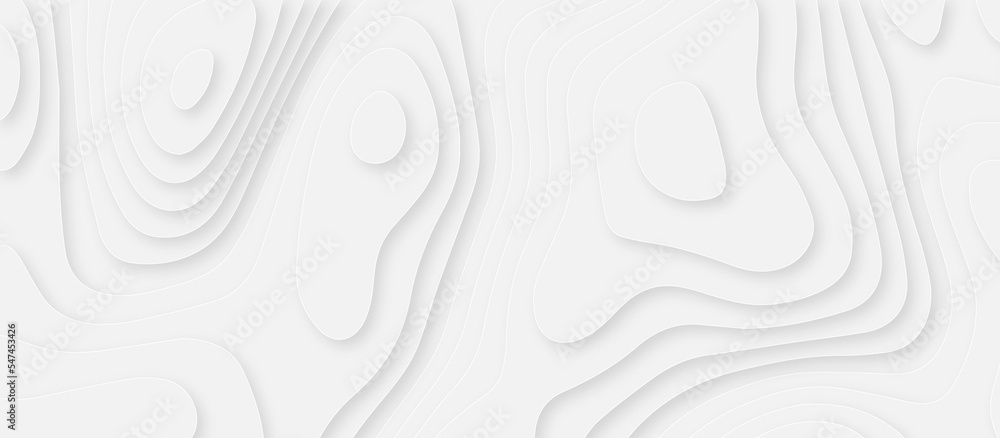 3d white papercut topography relief. Cover layout template. Material design concept vector illustration. abstract curve line white background. Soft smooth lines curving white papercut background. 3d white papercut topography relief. Cover layout template. Material design concept vector illustration. abstract curve line white background. Soft smooth lines curving white papercut background.