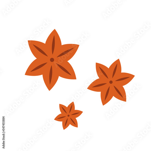Anise star vector. Anise star on white background.